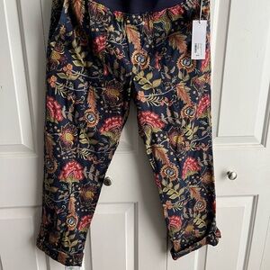 NWT Soft Surroundings Pants